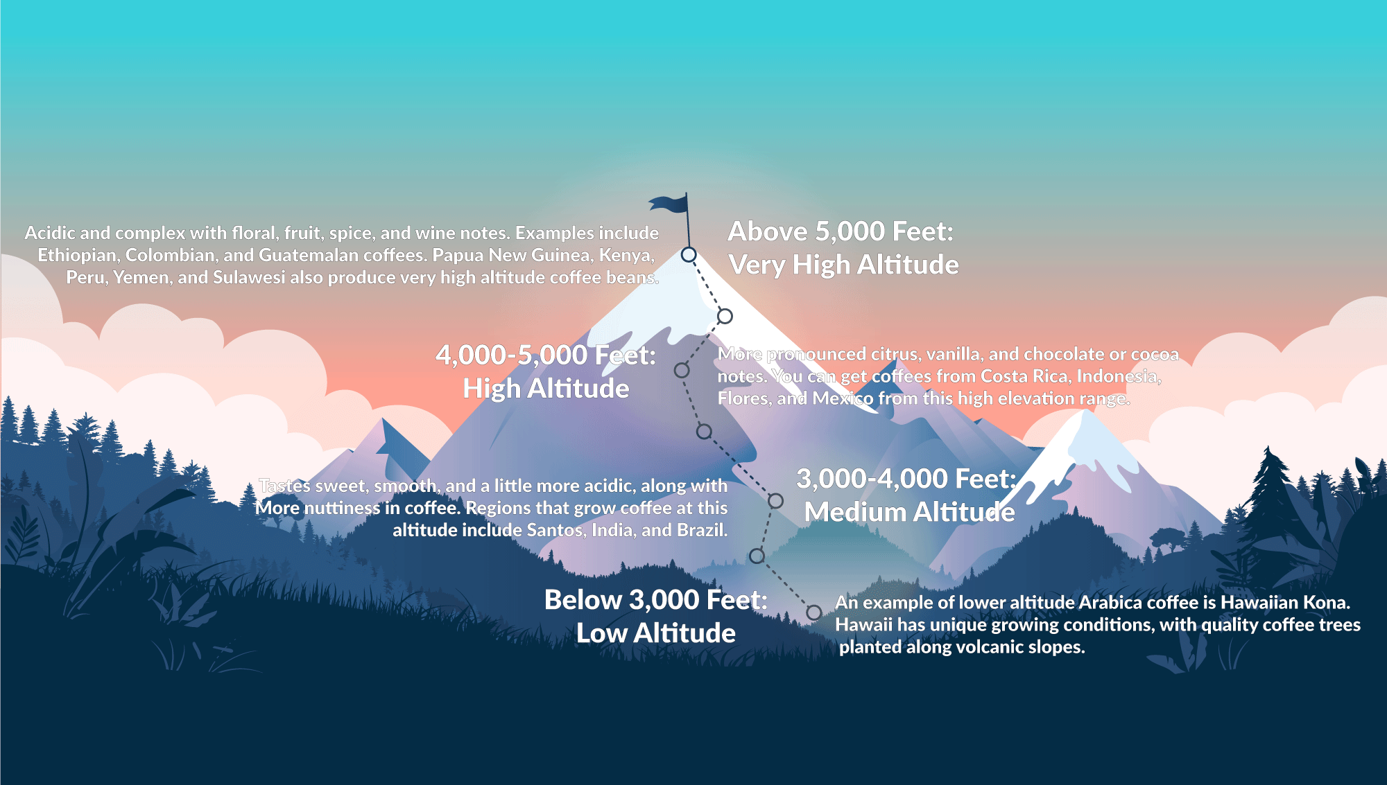 How Does Altitude Affect Coffee Roasting And Taste 
